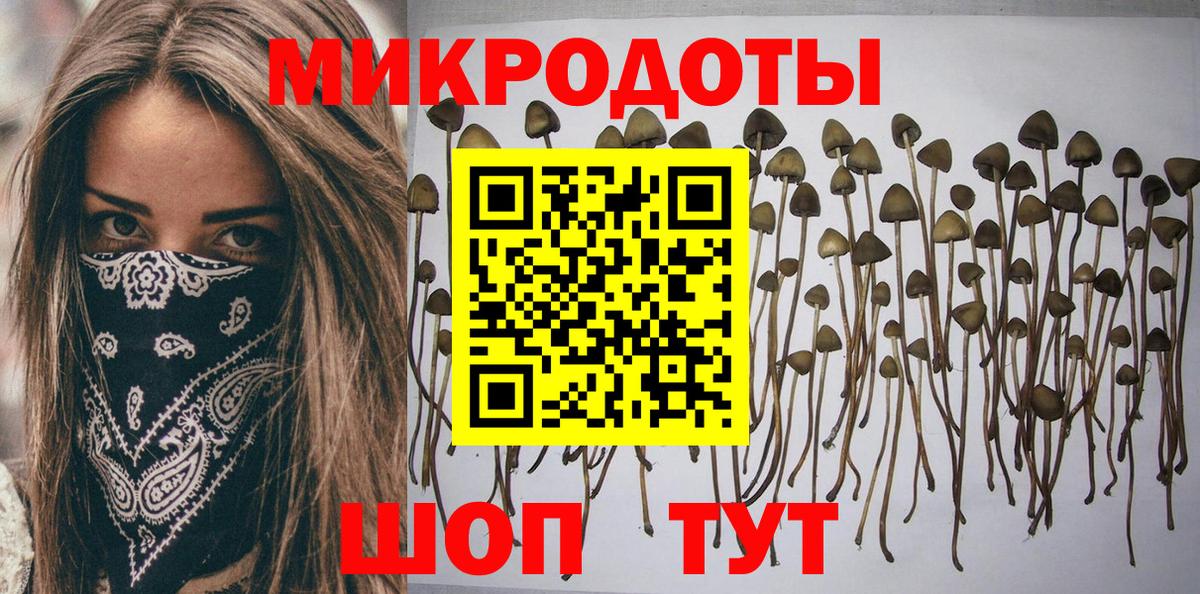 Галлюциногенные грибы GOLDEN TEACHER Калач-на-Дону